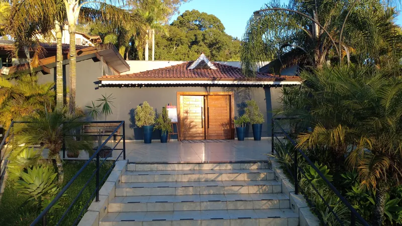 Escadaria de entrada do Salão Ouro, entre palmeiras, com luz de fim de tarde